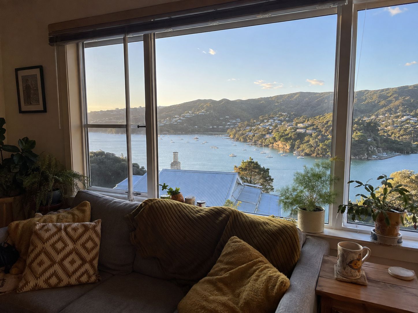 Window and Glass Repair Dunedin working on a home in Andersons Bay